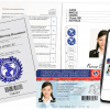 International Driving License, International Driving Permit (IDP)