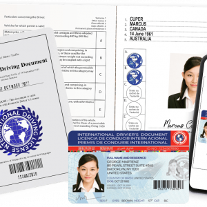 International Driving License, International Driving Permit (IDP)
